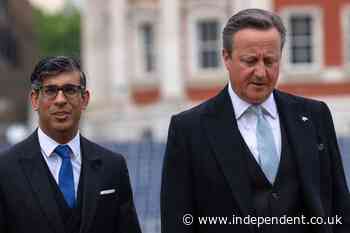 David Cameron ‘pleaded with Sunak’ not to go ahead with election that led to Tory wipeout