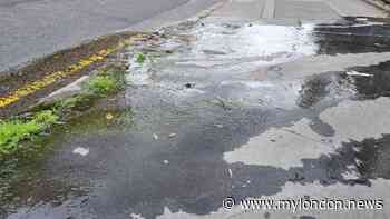 Croydon water leaks 'flowing all summer' as London suffers drought