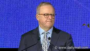 Albo's whirlwind fundraiser tour as PM bounces from one $10,000-a-head event to another as Labor gears up for fight against Pauline Hanson