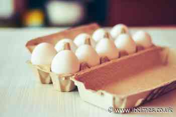 Millions of Eggs Recalled Over Salmonella Risk: The Codes Shoppers Must Check Now