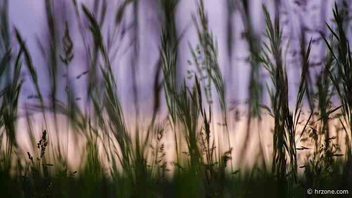 Belonging begins with wellbeing: Five steps to build it