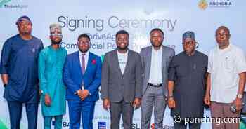 Agri firm raises N5.3bn in debut CP issuance