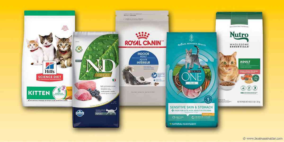 Best dry cat food, with nutrition advice from veterinarians