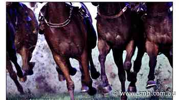 Tips and previews for racing at Wagga on Thursday