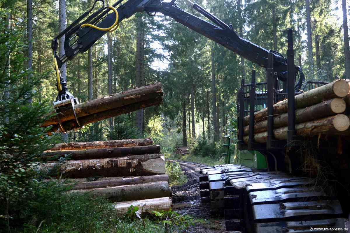 Diebstahl mitten im Vogtland-Wald: Worauf es die Täter abgesehen hatten