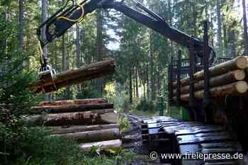 Diebstahl mitten im Vogtland-Wald: Worauf es die Täter abgesehen hatten