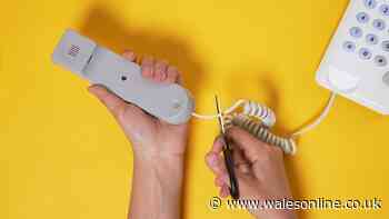 Half of landline users unaware of switch-off deadline date