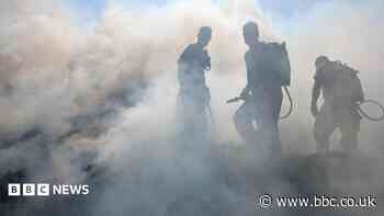 Does 'rewilded' land need better wildfire prevention measures?