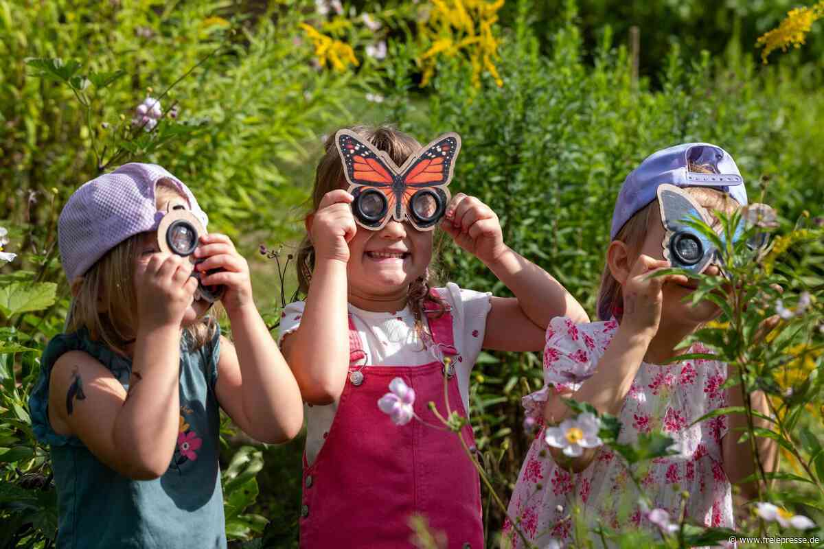 Hier lernen Kinder aus Plauen Erstaunliches über die Welt der Schmetterlinge