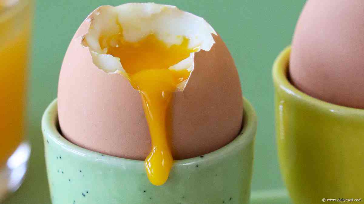 It's not 'just' food poisoning: Experts reveal terrifying risks of salmonella and how to stay safe... amid major UK outbreak linked to imported eggs and chicken