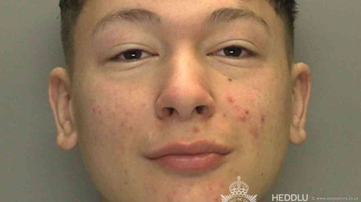 Teen jumps out of window of mum's house in Penarth to escape police
