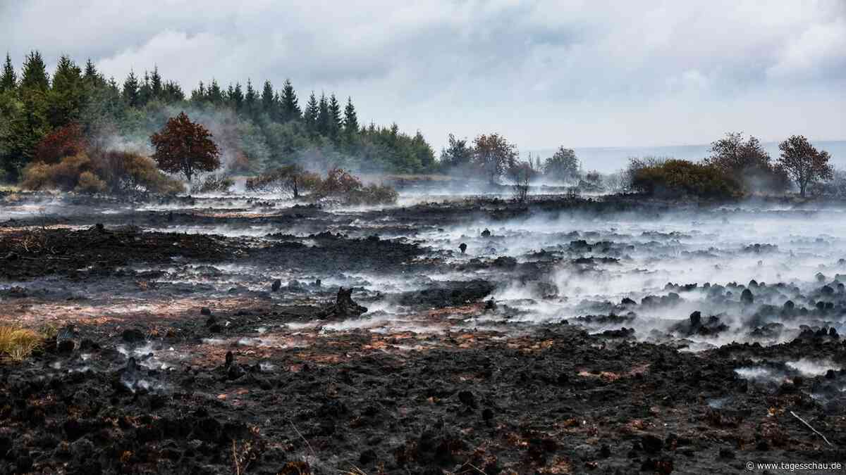 "Zombiefeuer": Wie gefährlich sind diese wiederkehrenden Feuer?