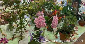 Flower show celebrates best local homegrown produce and plants
