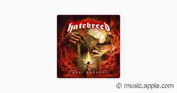 Fatal Paradox - Hatebreed