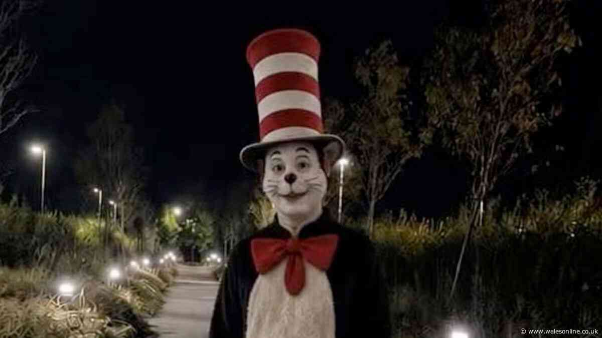Cat In The Hat sightings prompts police forces to reassure worried TikTok users
