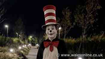 Cat In The Hat sightings prompts police forces to reassure worried TikTok users
