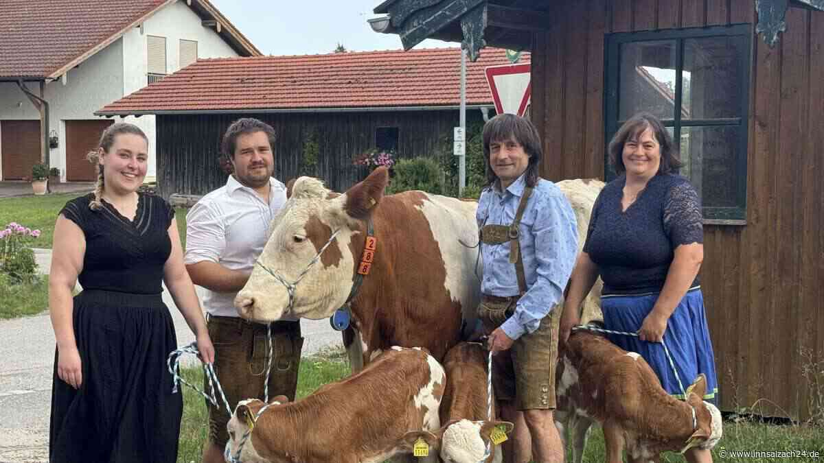 Das Wunder von Waldkraiburg: Kuh Agnes bringt in Hausing gesunde Drillinge zur Welt