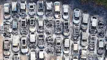Second man arrested after fire rips through Gatwick Airport holiday car park and destroys 140 vehicles