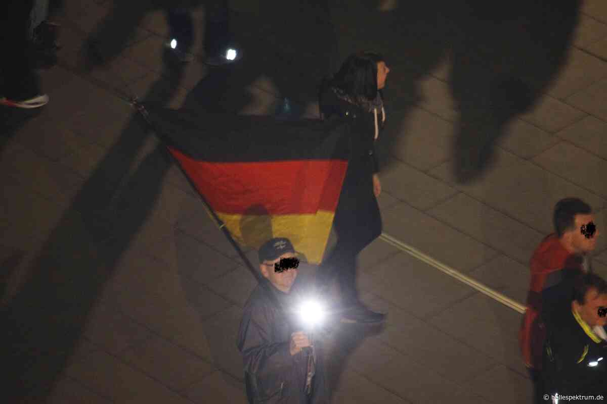 Wirtschaftsexperten warnen vor Folgen einer AfD-Regierung in Sachsen-Anhalt