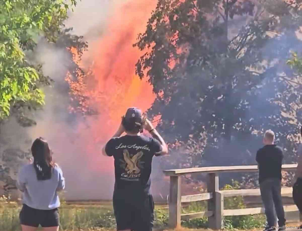 Grass fire near Rectory Park in Northolt damages one hectare of land