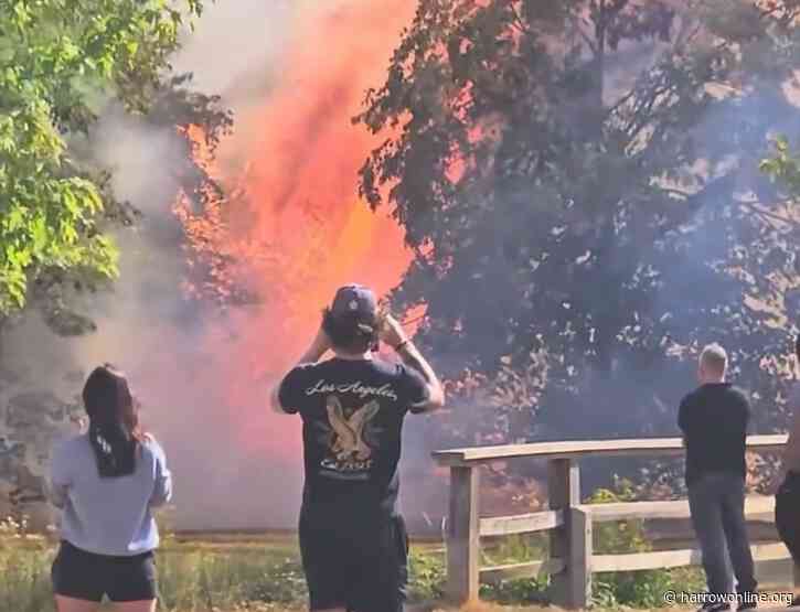 Grass fire near Rectory Park in Northolt damages one hectare of land