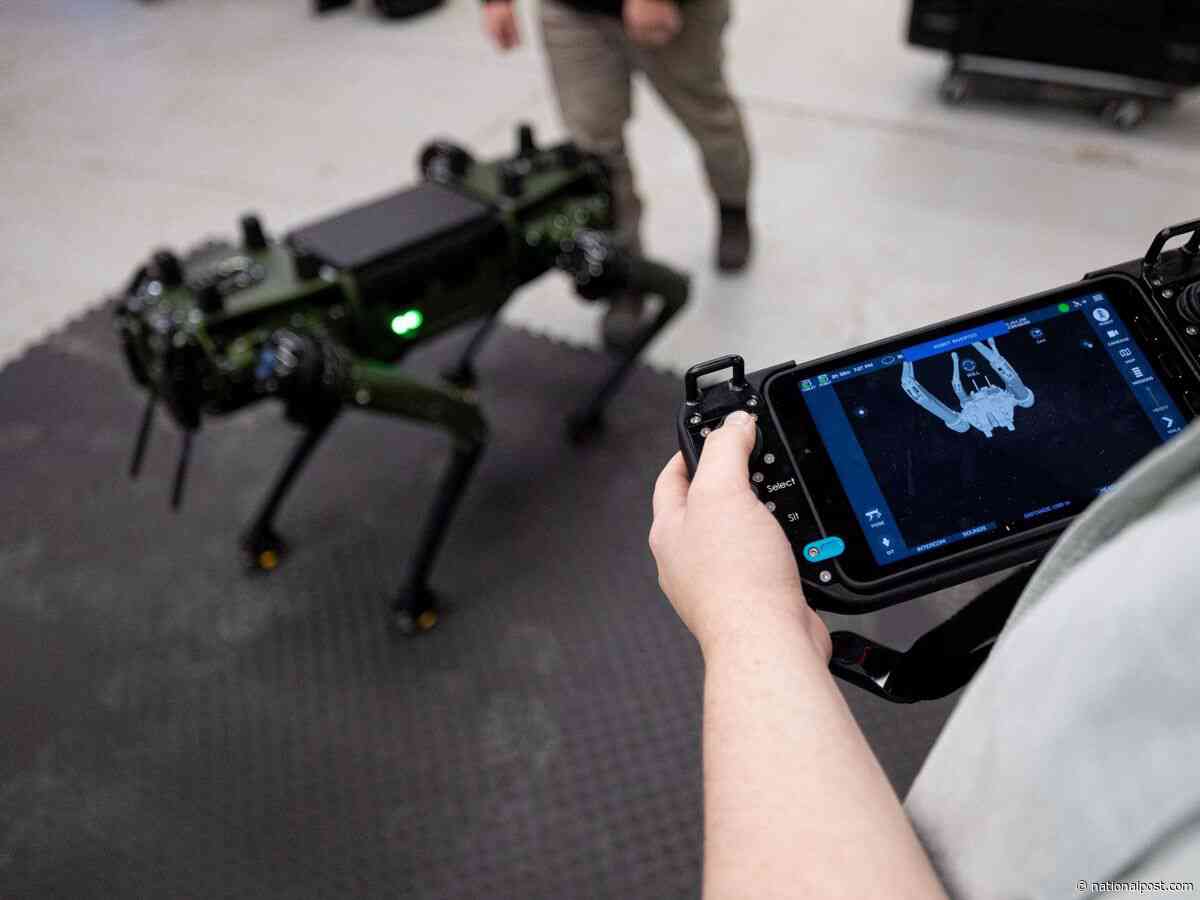 Robot dogs are here and they're cheap, Canada, but their software still needs a human and their security has flaws