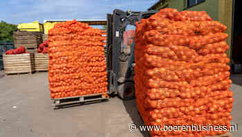 Uienexport stijgt in week 32 naar bijna 35.000 ton