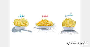 Nieuwe rassen spelen in op hittestress en groeiende vraag naar airfryer-aardappelen