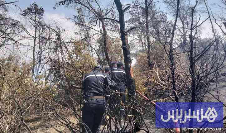 72 حريقاً خلال 24 ساعة في الجزائر