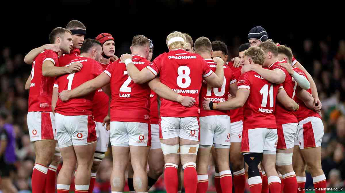 The Wales World Cup squad taking shape with nailed-on stars and wildcards emerging
