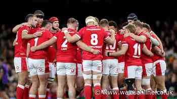 The Wales World Cup squad taking shape with nailed-on stars and wildcards emerging