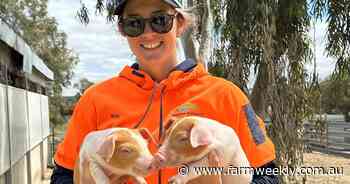 The winning lesson: how a WA teacher is bringing the pork industry to school