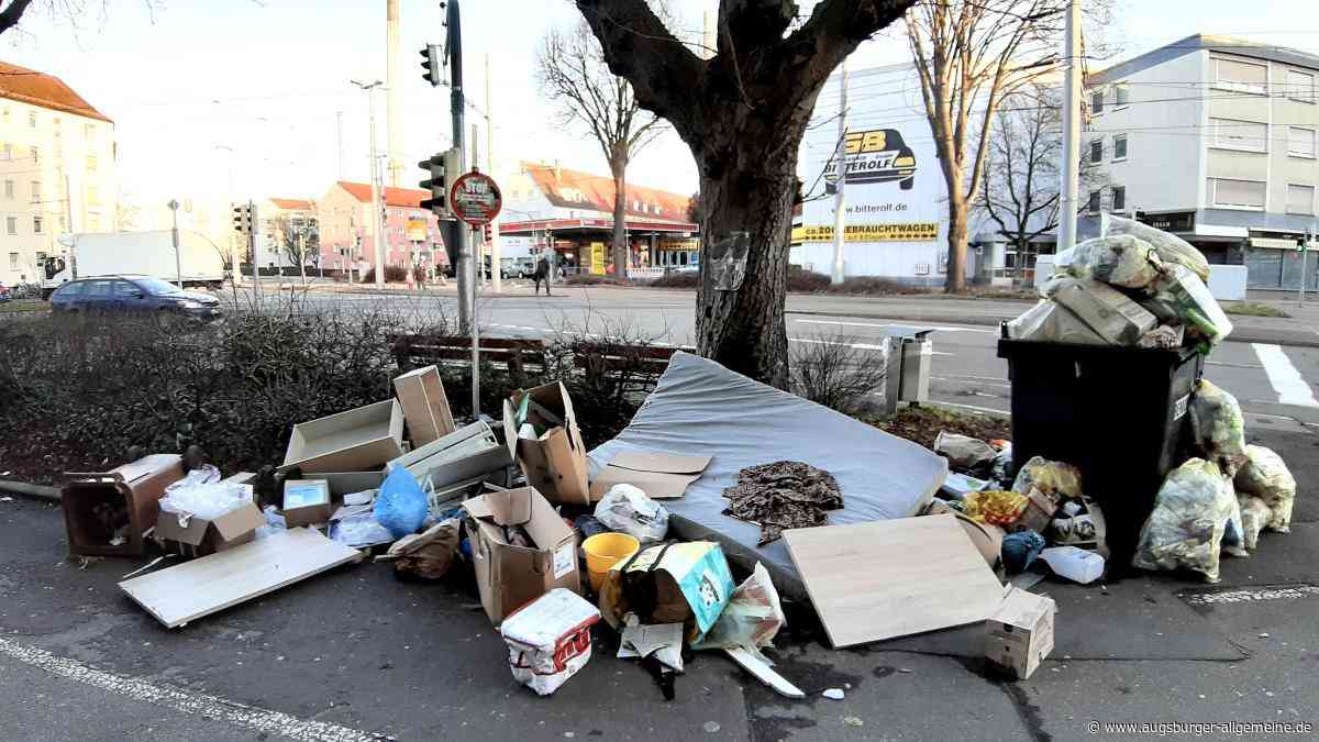 Vom wilden Müll bis zum toten Biber: In Ulm werden immer mehr Mängel gemeldet