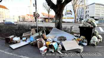 Vom wilden Müll bis zum toten Biber: In Ulm werden immer mehr Mängel gemeldet