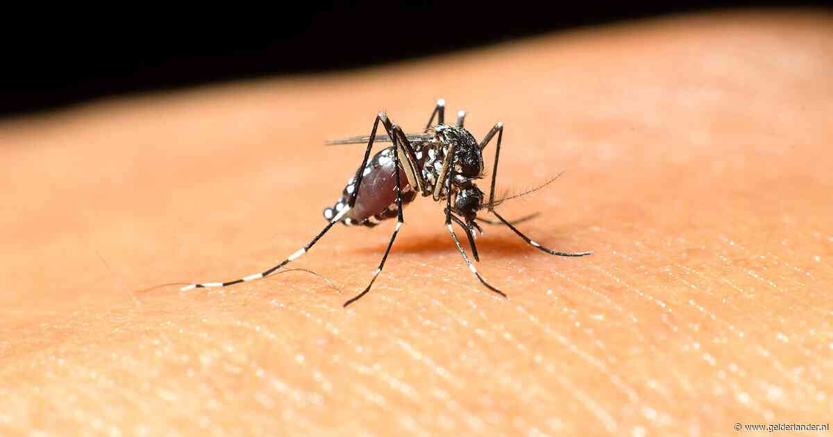 Persoon overleden aan infectie westnijlvirus
