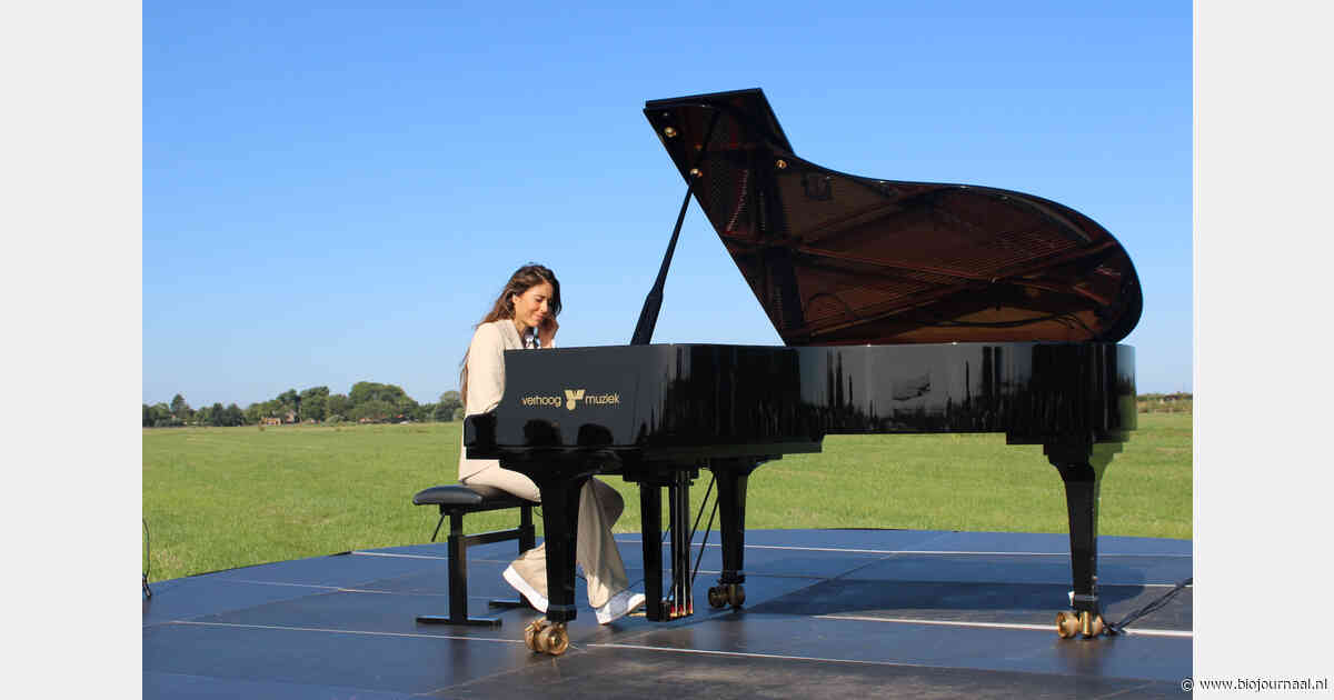 Kikkers als bandleden, het weiland als concertzaal