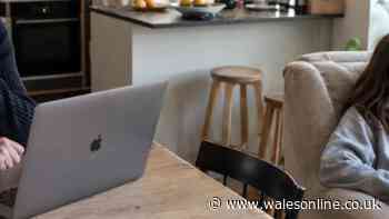 Brits would rather have fast broadband than live near a good school, research finds