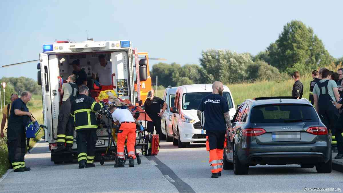 Rennrad-Unfälle am Elbdeich: Piktogramme auf der Straße für mehr Sicherheit