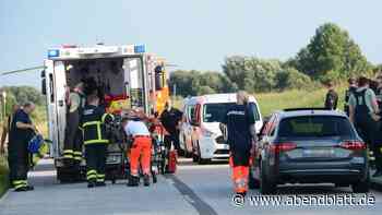 Rennrad-Unfälle am Elbdeich: Piktogramme auf der Straße für mehr Sicherheit