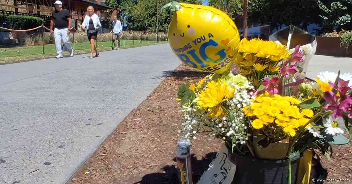 Family of Beltline stabbing suspect says it sought mental health treatment for him for years
