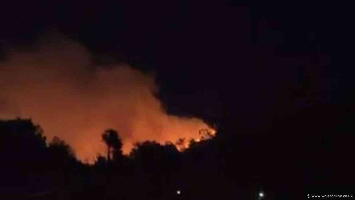 Teenagers allegedly deliberately set fire to Drummau mountain causing devastating damage
