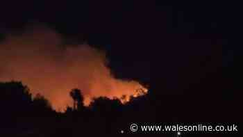 Teenagers allegedly deliberately set fire to Drummau mountain causing devastating damage