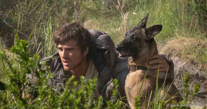 Twee sterren voor The dog stars: oogt gemakzuchtig en weinig geïnspireerd