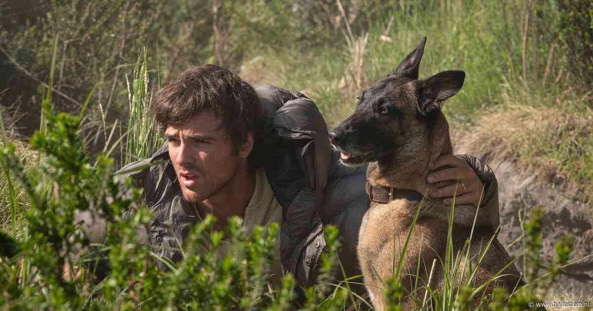 Twee sterren voor The dog stars: oogt gemakzuchtig en weinig geïnspireerd