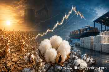ICE cotton declines after 8-day rally on slower demand
