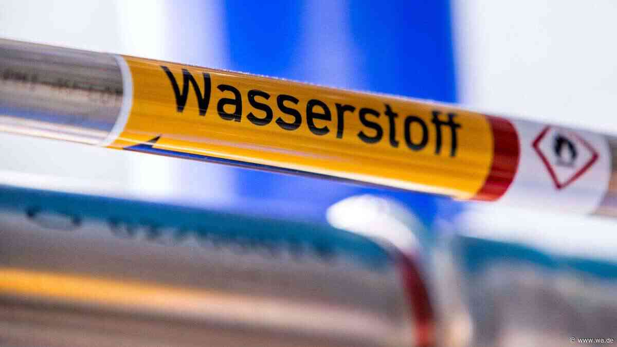 750-Millionen-Euro-Projekt: Kraftwerk im Main-Kinzig-Kreis geplant