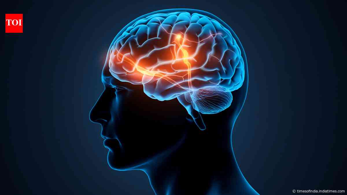 Thousands of ancient brains survived for 12,000 years; scientists uncover why