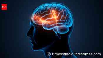 Thousands of ancient brains survived for 12,000 years; scientists uncover why