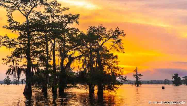 SpaceX plans to plant $100B Starbase on Louisiana coast