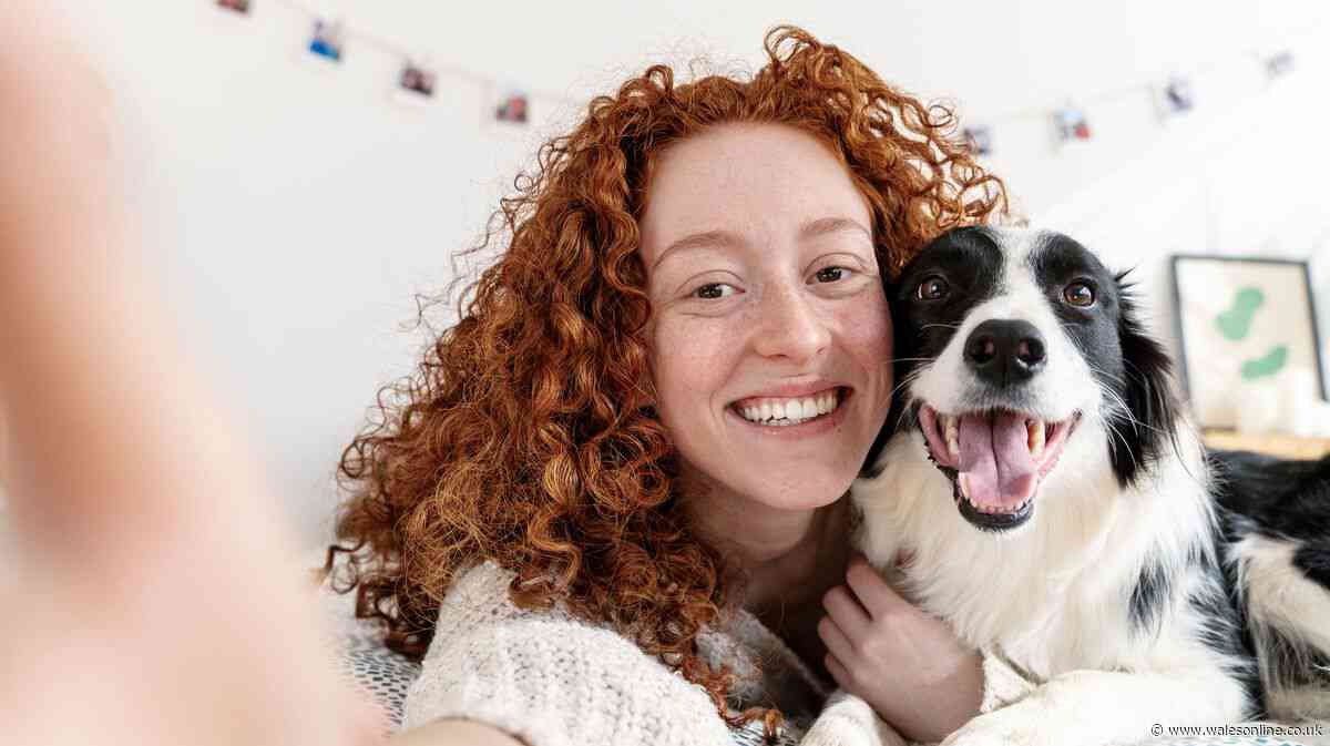 Warning for any dog owners who post their pets on social media